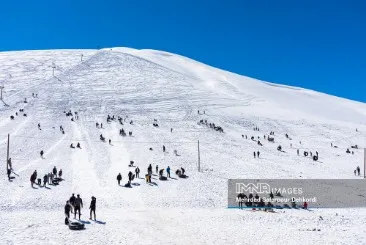 تهران وکیل